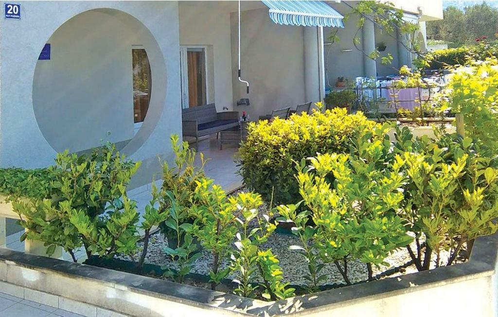 Apartment Orange Makarska Dış mekan fotoğraf